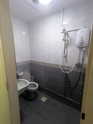 Normanton Park (D5), Terrace #561597401